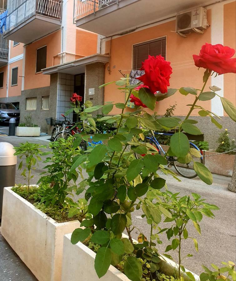 Home In The Blue Maiori Luaran gambar